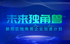 视界云荣登首批朝阳区“未来独角兽企业”榜单，入选“朝阳区独角兽培育企业库”